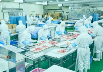 Overview of the group company's processing facility